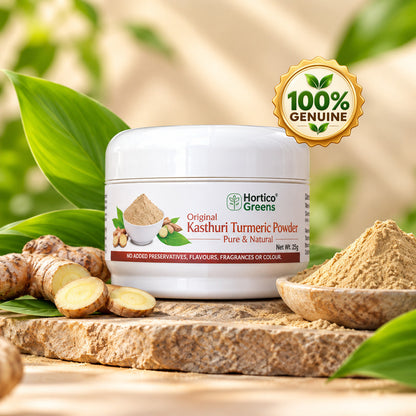 Kasthuri Turmeric Powder, 25 g